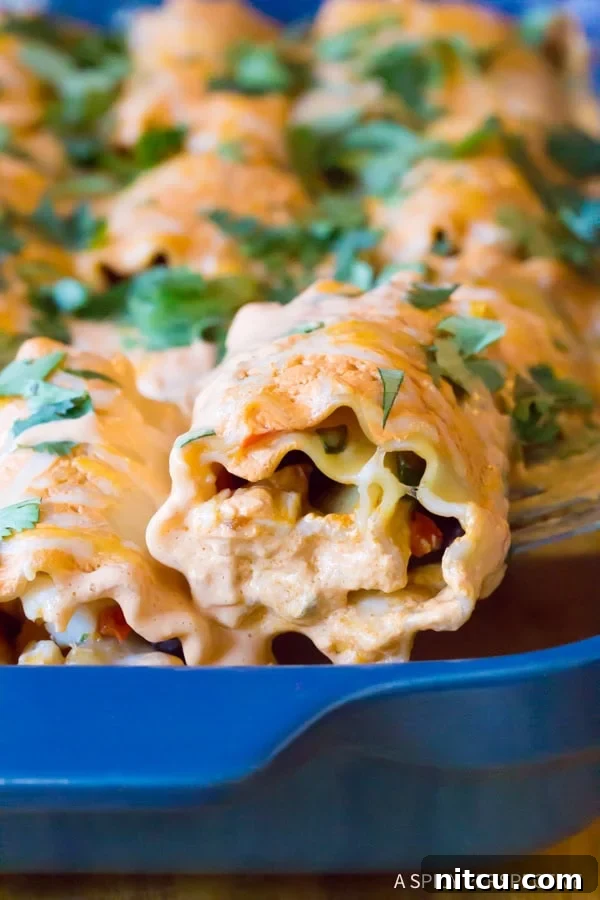Spicy Southwest Chicken Lasagna Spirals 9 Cheesy Southwest Chicken Lasagna Rolls in a baking dish, covered with sauce before baking.