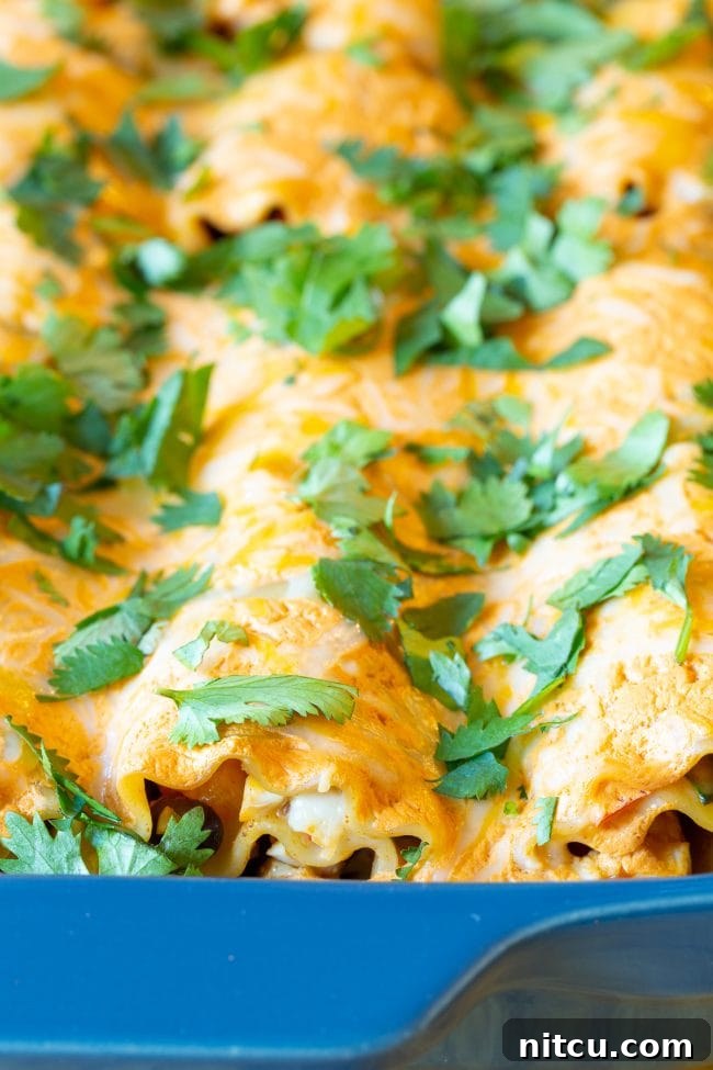 Spicy Southwest Chicken Lasagna Spirals 10 Southwest chicken lasagna rolls in a blue baking dish, fresh out of the oven, with melted cheese and garnish.