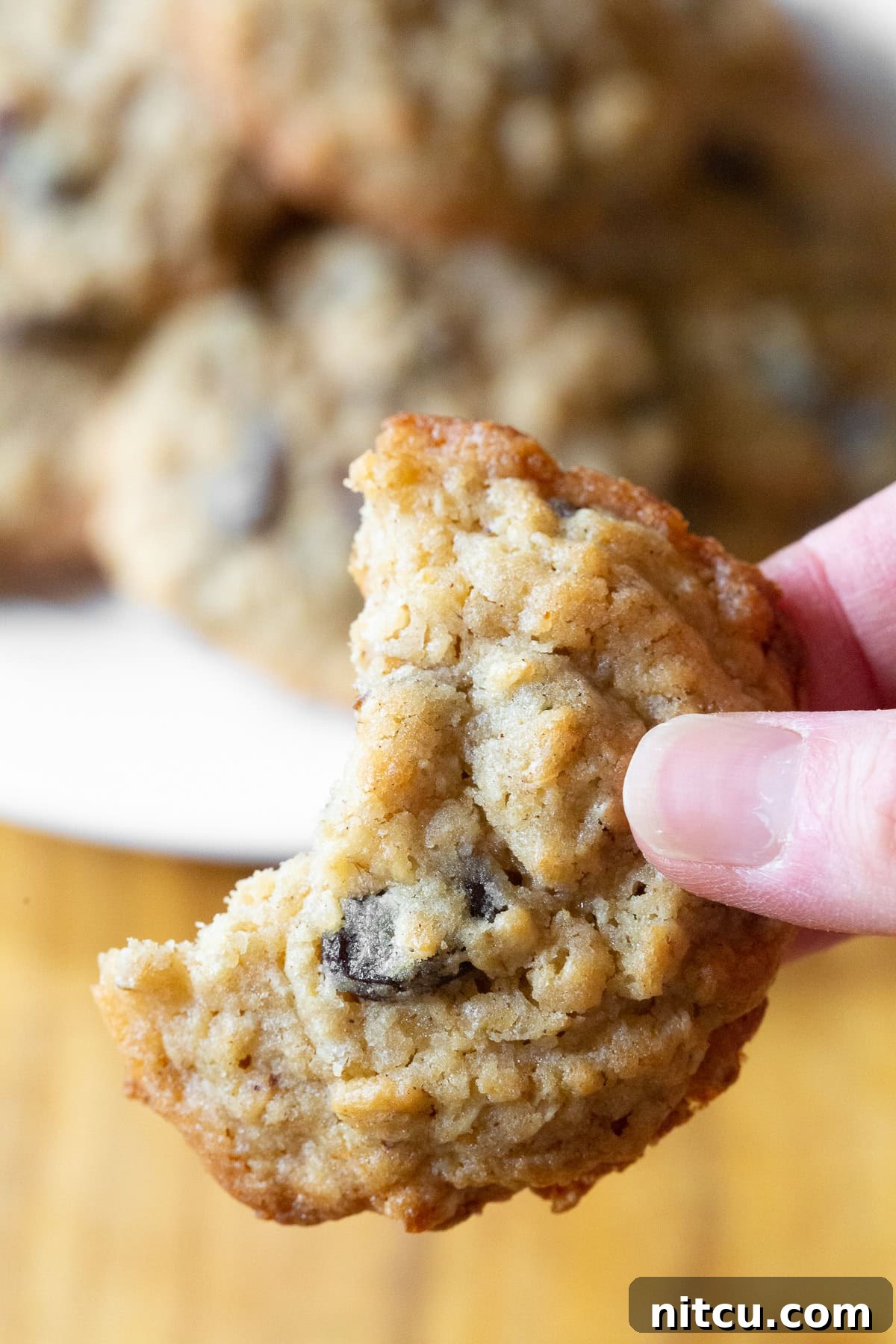 A hand holding an oatmeal raisin cookie with a bite taken out of it.