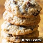 Oatmeal Raisin Cookies