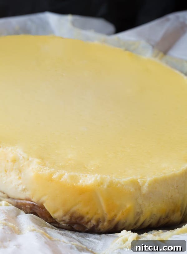 A pristine, unbaked Slow Cooker Cheesecake, sitting on a piece of parchment paper, ready to be cooked. The smooth surface promises a crack-free finish.