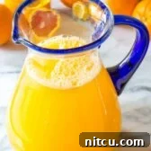 Zesty Orangeade Delight 2 Refreshing Southern Orangeade Recipe