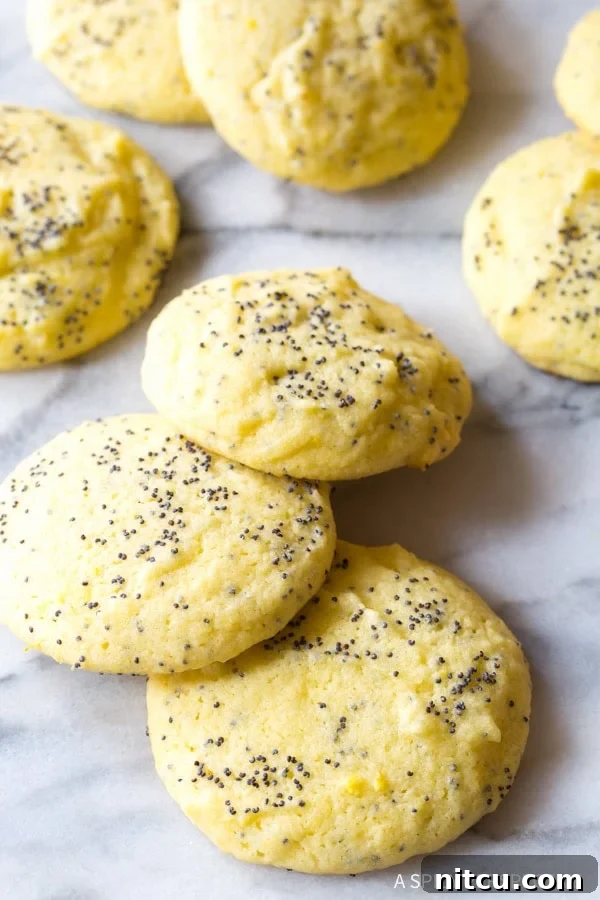 Delicious Lemon Poppy Seed Cookies for Summer Freshly baked lemon poppy seed cookies scattered on a kitchen counter, ready to be enjoyed.