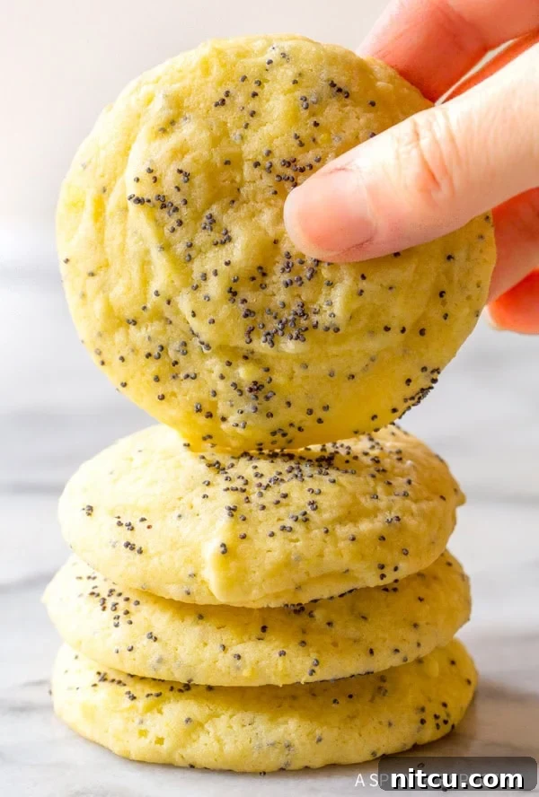 Enjoying a Soft Lemon Poppy Seed Cookie A hand holding a perfectly baked lemon poppy seed cookie, with more cookies stacked underneath.