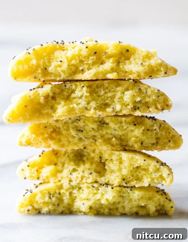 Soft and Zesty Lemon Poppy Seed Cookies A lemon poppy seed cookie broken in half, showing its soft interior and speckles of poppy seeds.