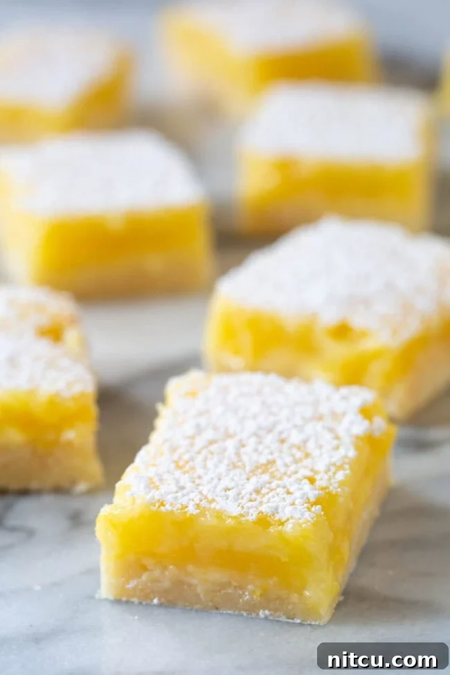 Lemon Bar Recipe #ASpicyPerspective #Lemon #Bars #LemonBars #LemonSquares #CookieCrust #WhiteChocolate #Spring #Dessert #Easter Lemon Bar Recipe - cut into lemon squares