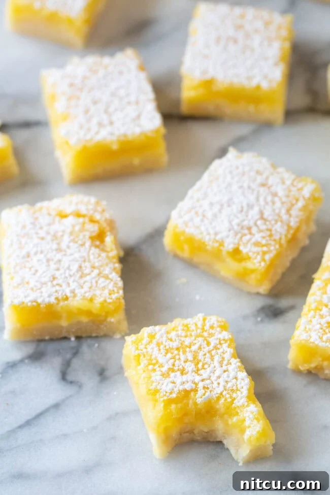 Lemon Bars #ASpicyPerspective #Lemon #Bars #LemonBars #LemonSquares #CookieCrust #WhiteChocolate #Spring #Dessert #Easter Lemon Bars
