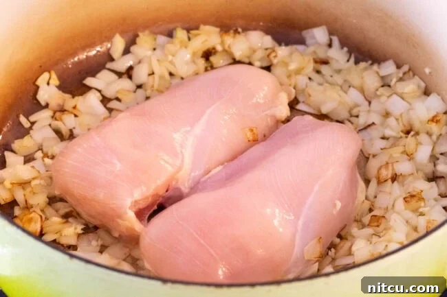 Onions and garlic in a pot with raw chicken on top.