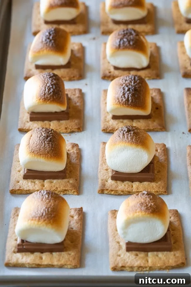 Indoor Smores Delight 7 Close-up of toasted marshmallows with melted chocolate.