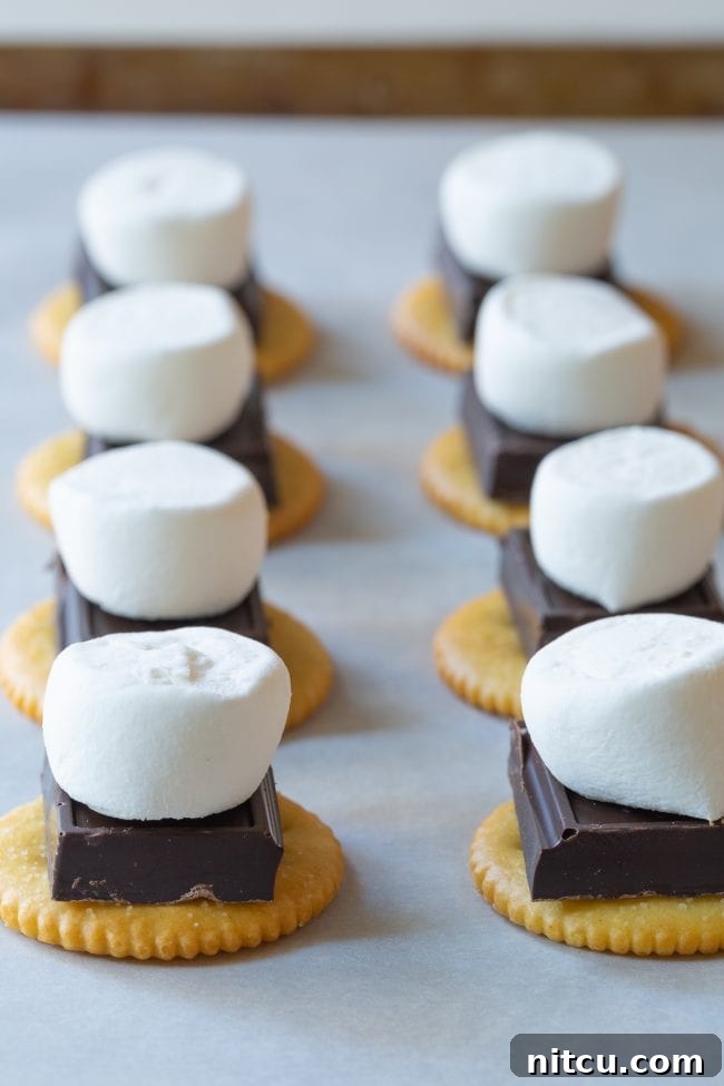 Indoor Smores Delight 8 Ritz cracker s'mores with dark chocolate and marshmallows.
