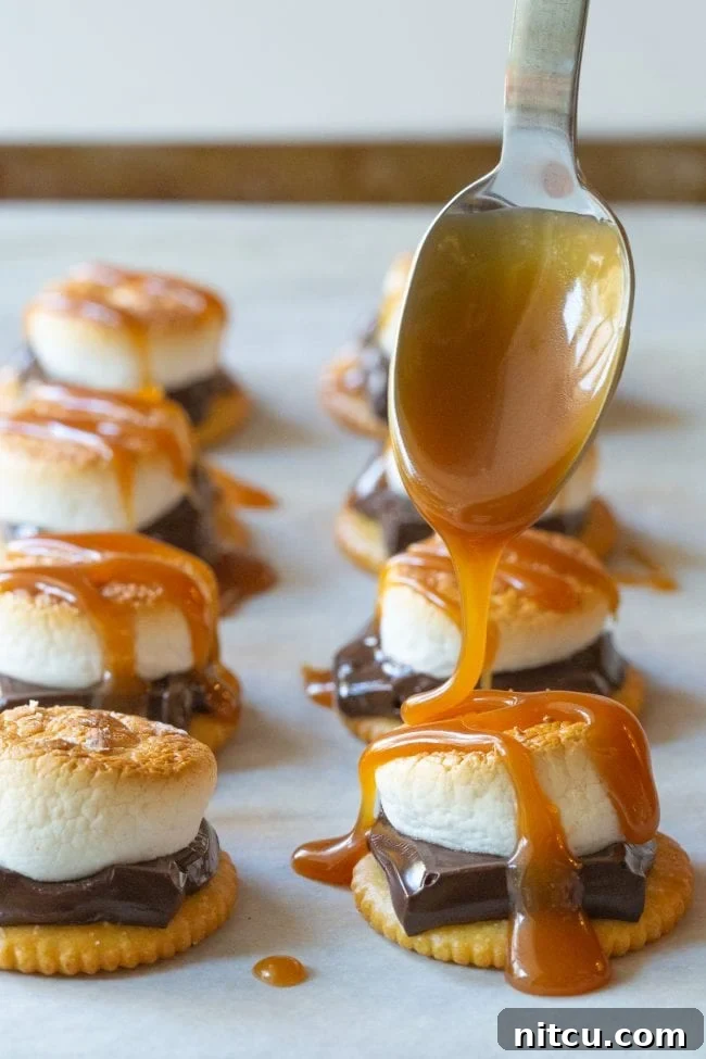 Indoor Smores Delight 9 Gourmet s'mores with caramel sauce.