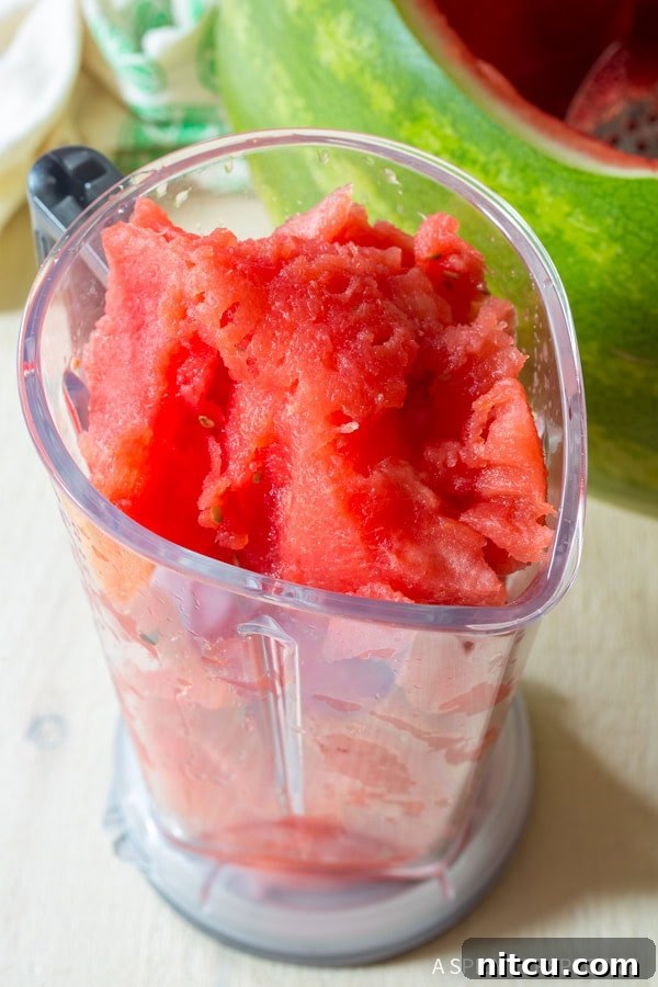 Blender full of chunks of watermelon.