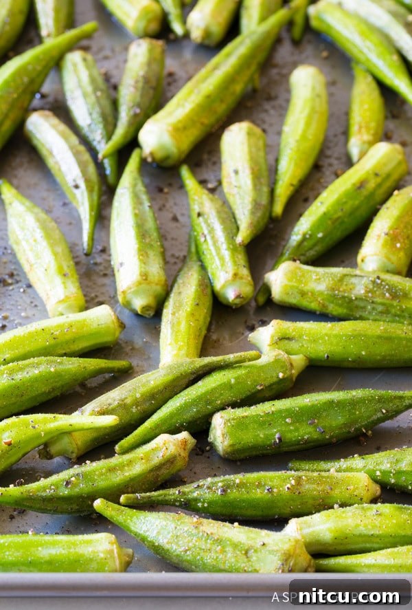 A serving of perfectly roasted zesty okra, crispy and golden brown