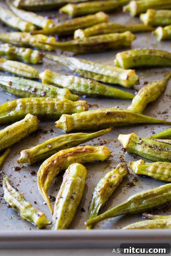 Close-up of roasted okra, seasoned and ready to eat as a healthy snack or side