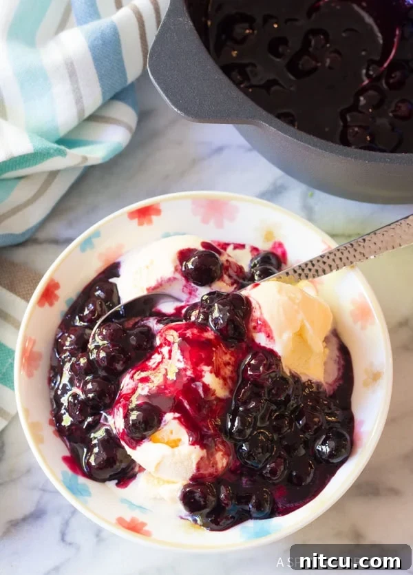 Homemade Blueberry Ice Cream Sauce 2 A bowl of vanilla ice cream topped with warm blueberry sauce.