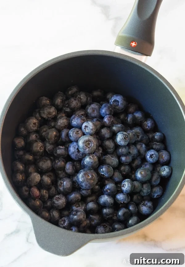 Homemade Blueberry Ice Cream Sauce 3 Fresh blueberries in a saucepan.