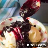 Homemade Blueberry Ice Cream Sauce 7 Warm Blueberry Sauce (Ice Cream Topping)