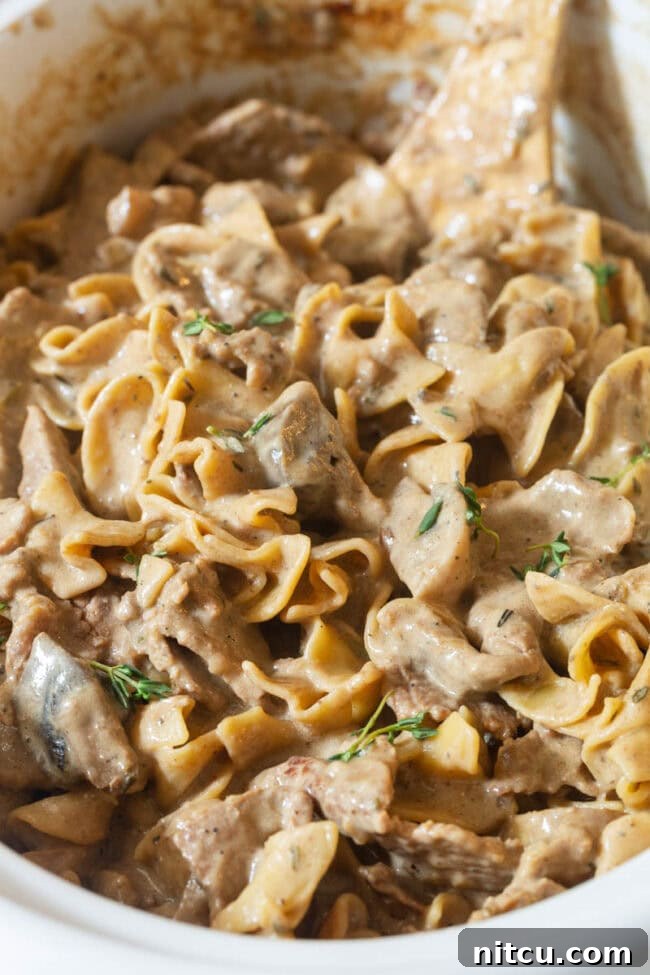 Slow Cooker Beef Stroganoff Beef Stroganoff (Slow Cooker Recipe) - close up in a crock
