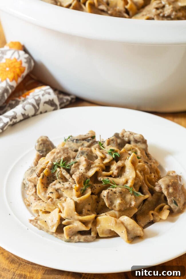 Beef Stroganoff Crockpot Crock Pot Beef Stroganoff Recipe on plate