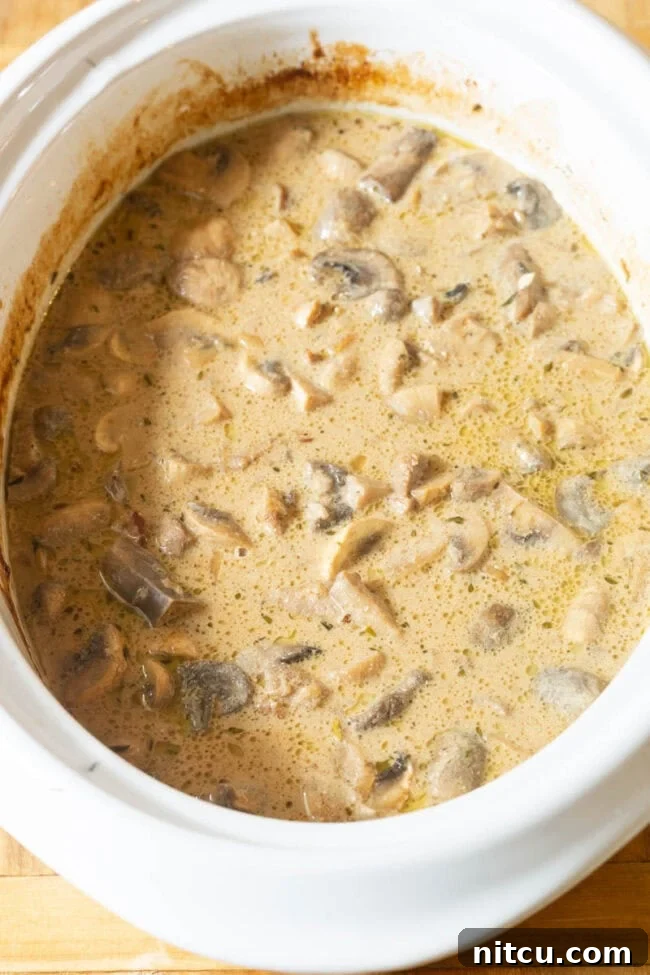 Slow Cooker Beef Stroganoff Sauce Beef Stroganoff Slow Cooker Recipe in sauce