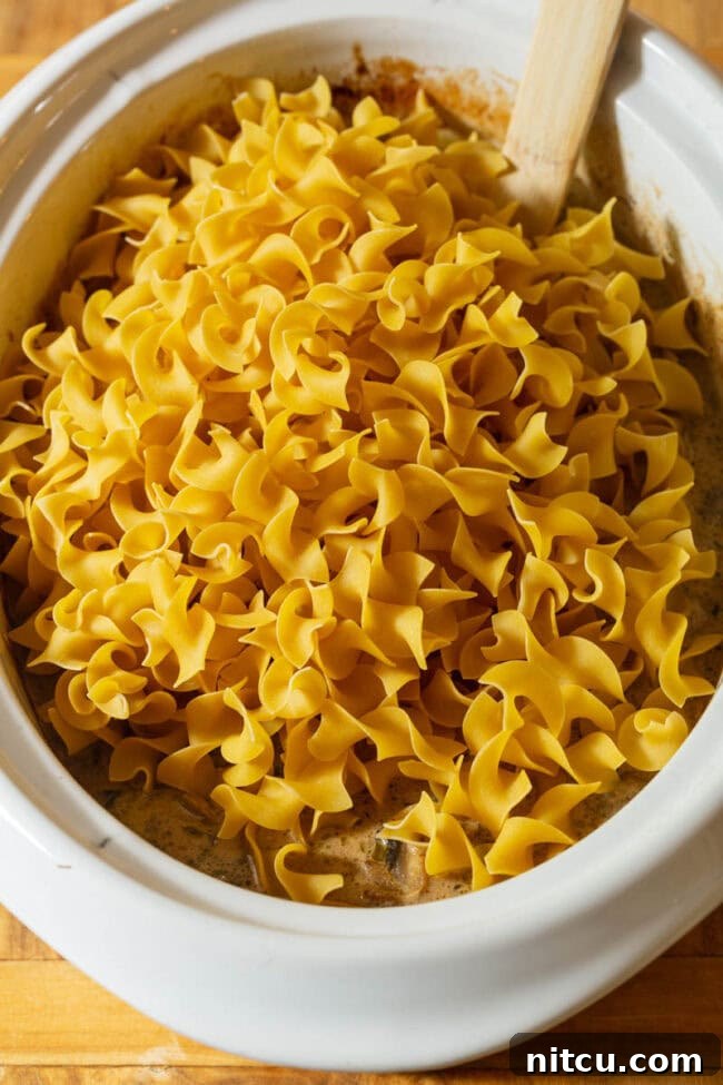 Egg Noodles Egg Noodles for Beef Stroganoff Slow Cooker Version