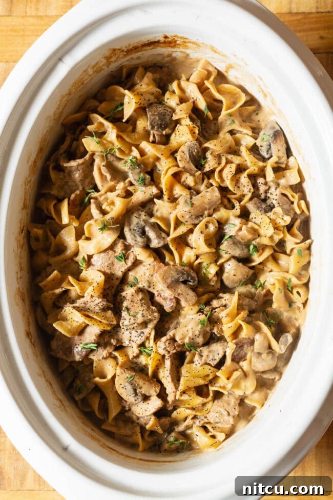 Crockpot Beef Stroganoff with Noodles Beef Stroganoff Slow Cooker Recipe in the crock with the noodles mixed in