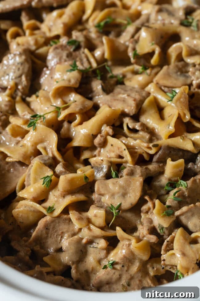 Close Up Slow Cooker Beef Stroganoff Slow Cooker Beef Stroganoff close up with noodles - close up version