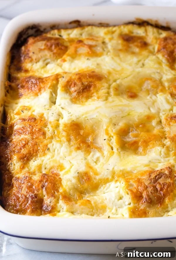 Croatian Cheese Strukli in a baking dish after being baked. 