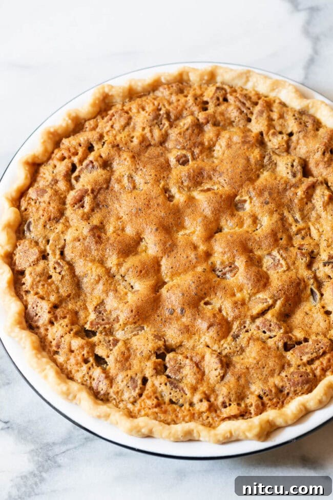 The Run for the Roses Pie 2 Freshly baked chocolate pecan pie, golden brown and glistening, still in its pan.