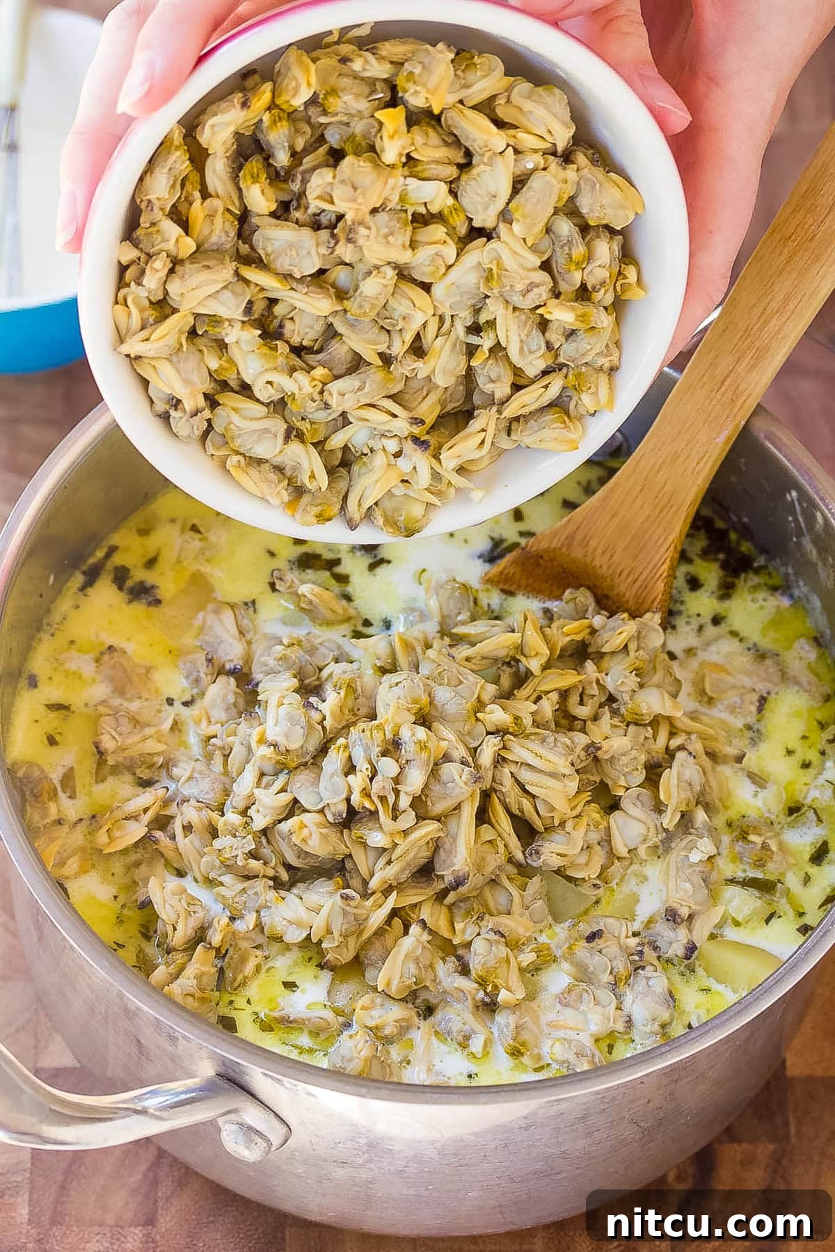 adding clams to a soup pot, illustrating a step in the New England clam chowder recipe