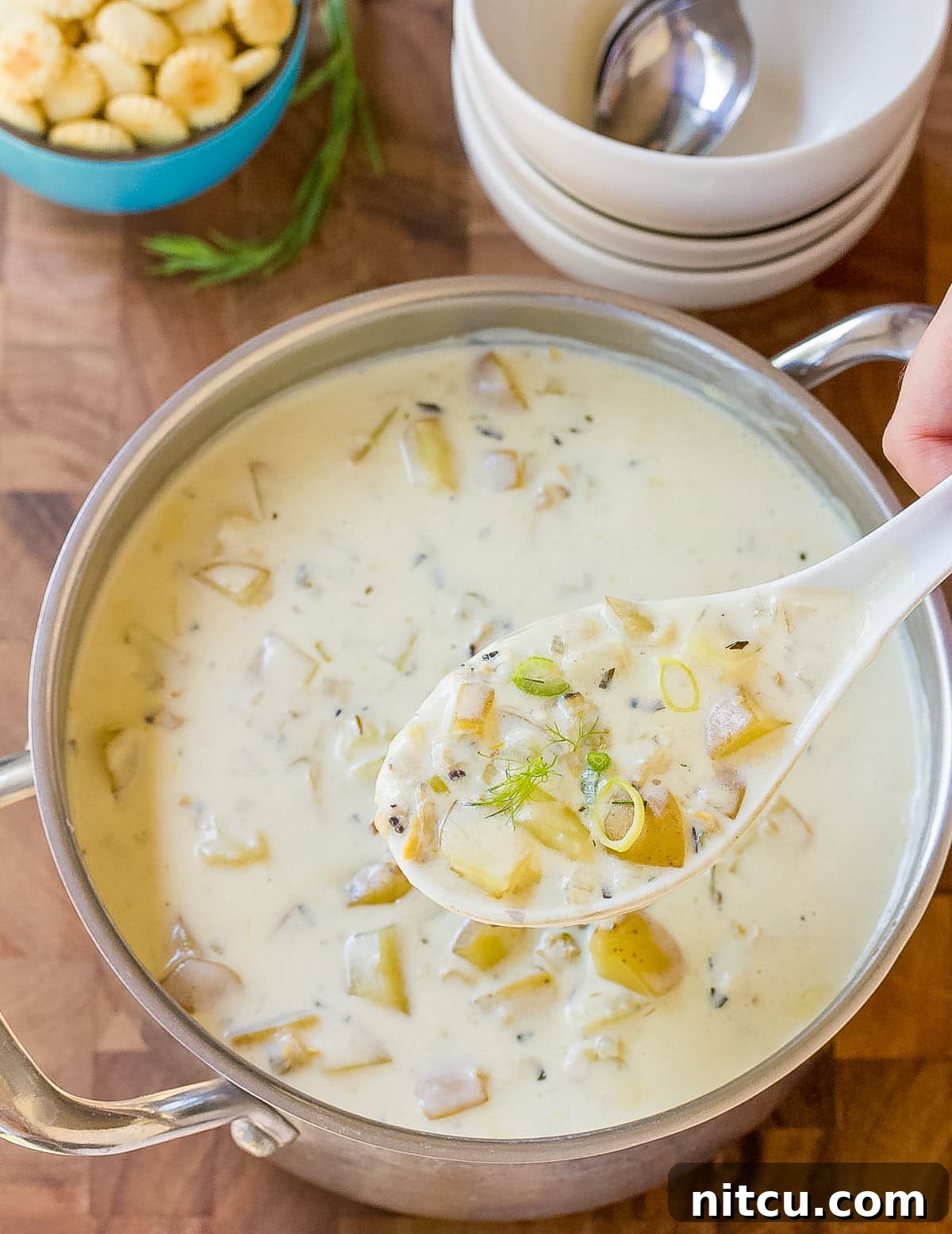 winter soup - Clam Chowder Recipe lifted on a spoon, showing its creamy texture
