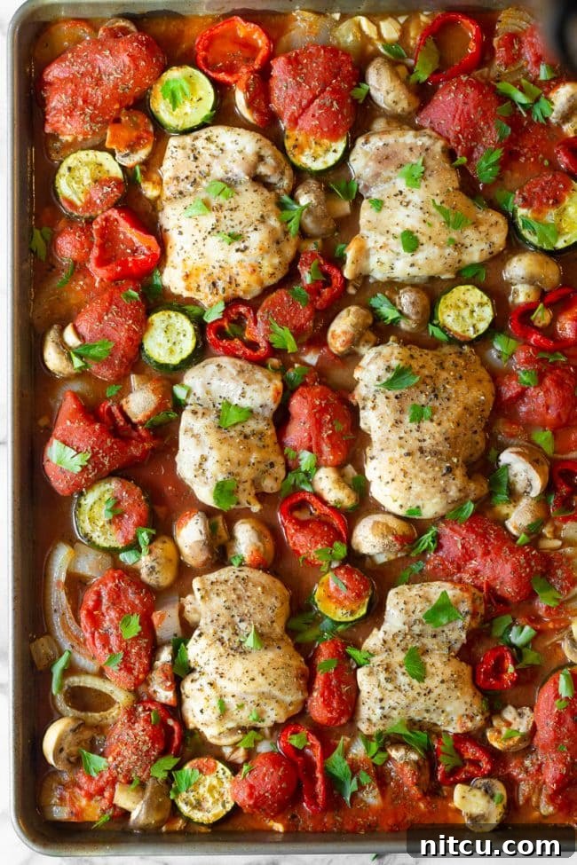One-Pan Chicken Cacciatore 2 A vibrant, saucy sheet pan chicken cacciatore with chicken, peppers, onions, zucchini, and mushrooms, ready to be served