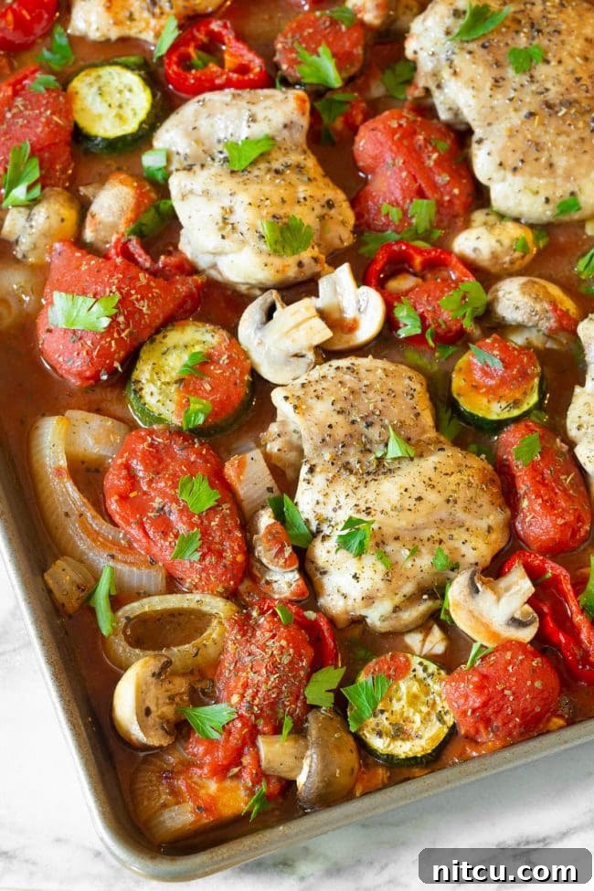 One-Pan Chicken Cacciatore 3 Close-up of a single piece of saucy chicken cacciatore, showing tender chicken and colorful vegetables simmered in tomato sauce