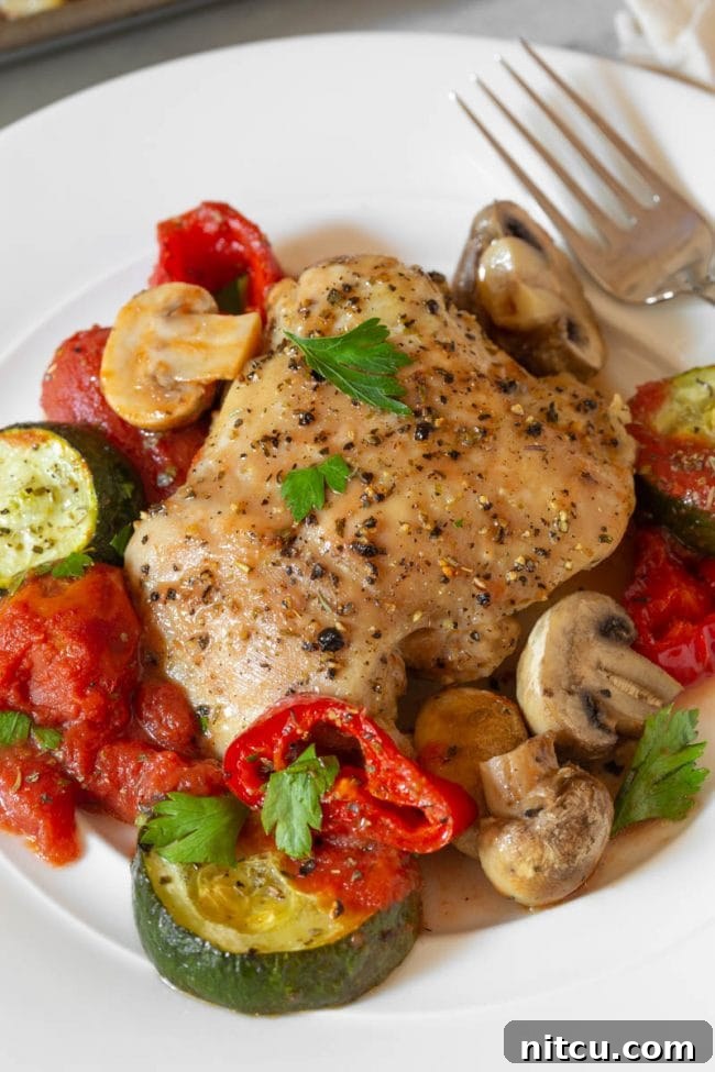 One-Pan Chicken Cacciatore 4 A serving of low carb chicken cacciatore on a white plate, highlighting the rich tomato sauce and colorful vegetables