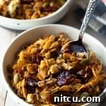 Wholesome Homemade Granola 9 Healthy Homemade Granola Recipe thumbnail
