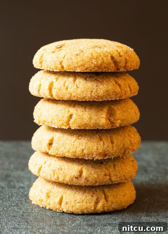Nutty Brown Butter Delights 2 Brown butter cookies stacked on top of each other, showcasing their perfect chewiness and golden-brown edges.