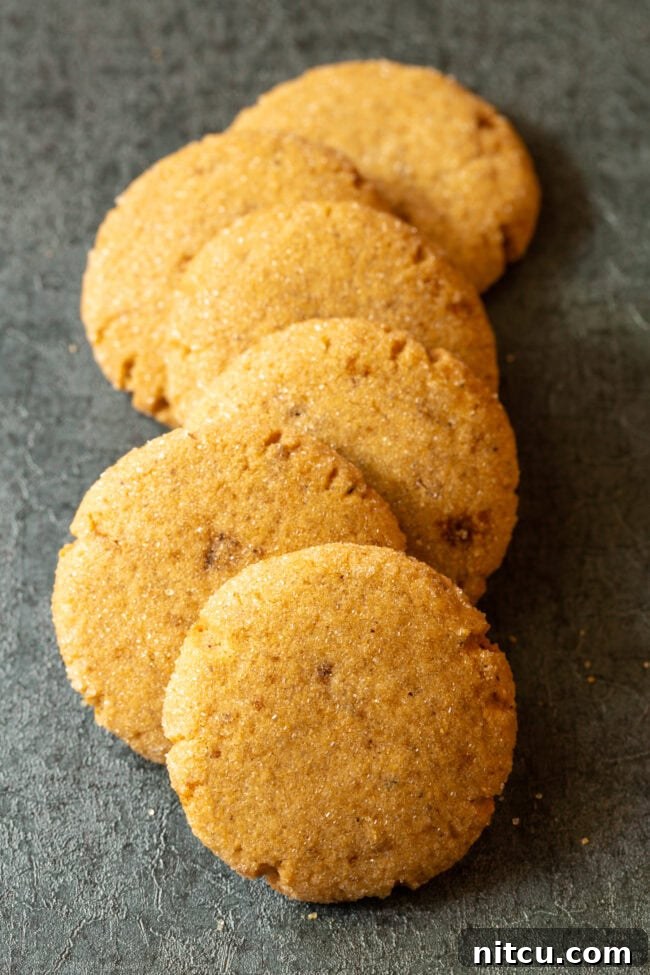 Nutty Brown Butter Delights 9 Awesome Brown Butter Cookies Recipe overhead shot, perfectly baked.