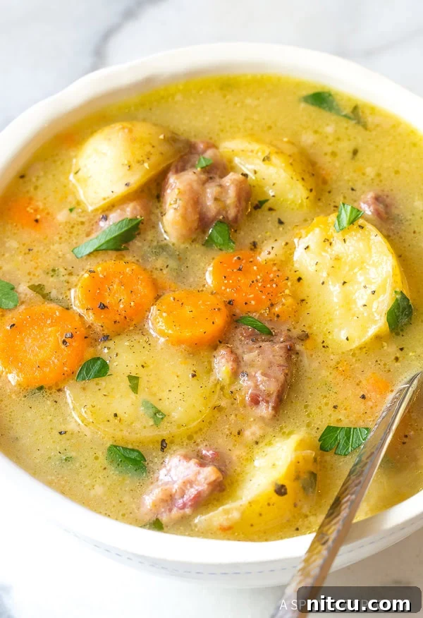 Ultimate Pressure Cooker Corned Beef & Cabbage Stew 11 Finished Pressure Cooker Corned Beef Cabbage Irish Stew ready to serve