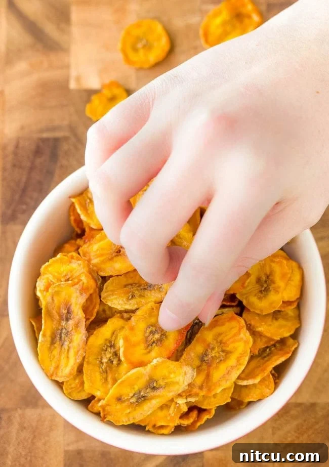 Crispy Banana Delights 3 Grab a handful of banana chips to snack on