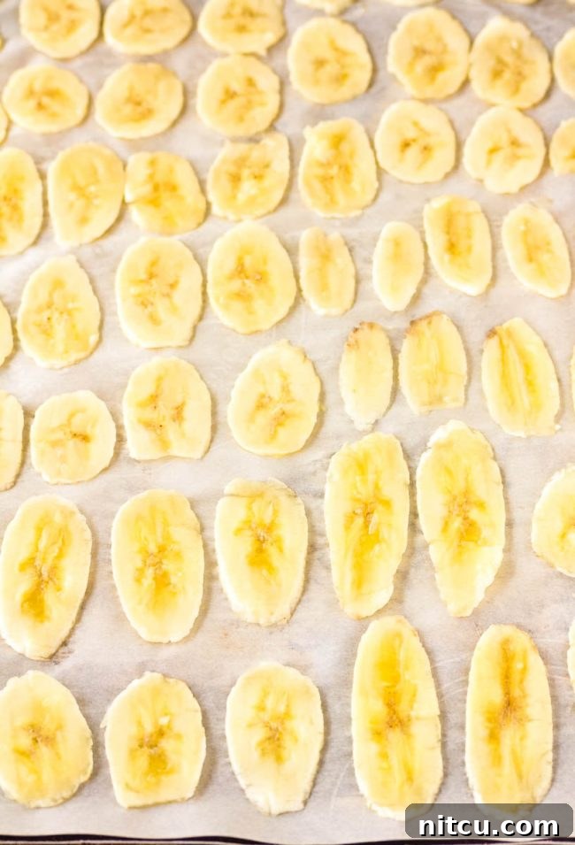 Crispy Banana Delights 5 Laying these banana chips out on a cookie sheet to bake in the oven