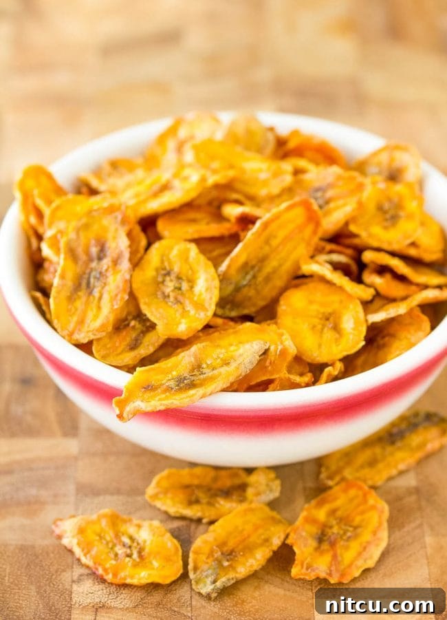 Crispy Banana Delights 6 Banana Chips - Baked to perfection and golden brown