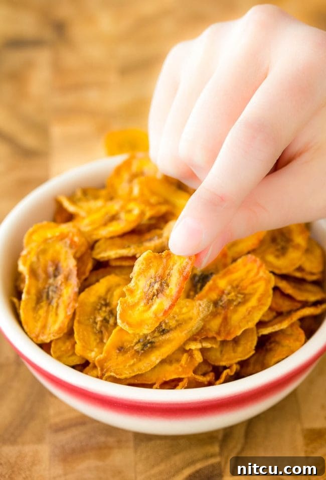 Crispy Banana Delights 7 You and your whole family can enjoy these tasty treats