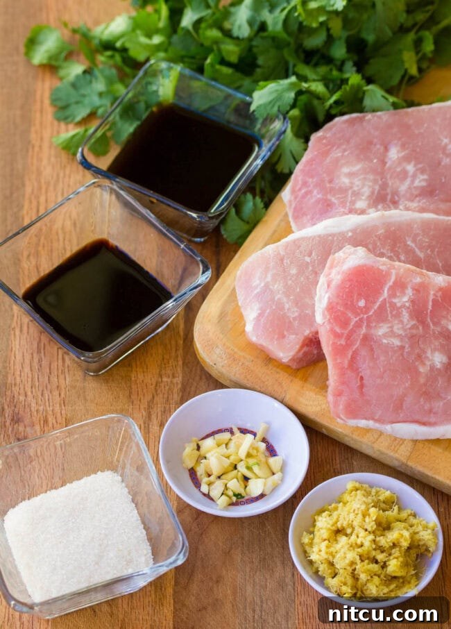 Vietnamese Bun Cha Gio Ingredients 