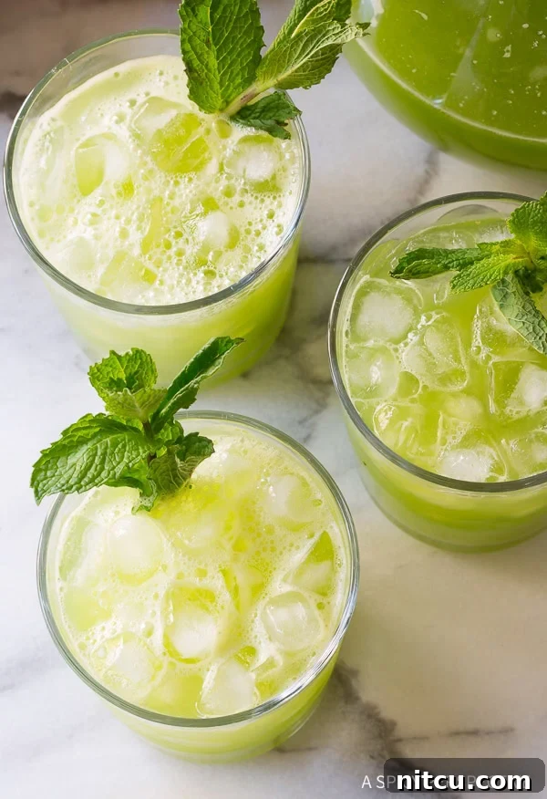 Crisp Cucumber Cooler 8 Overhead shot of three glasses of cucumber mint agua fresca, garnished with mint.