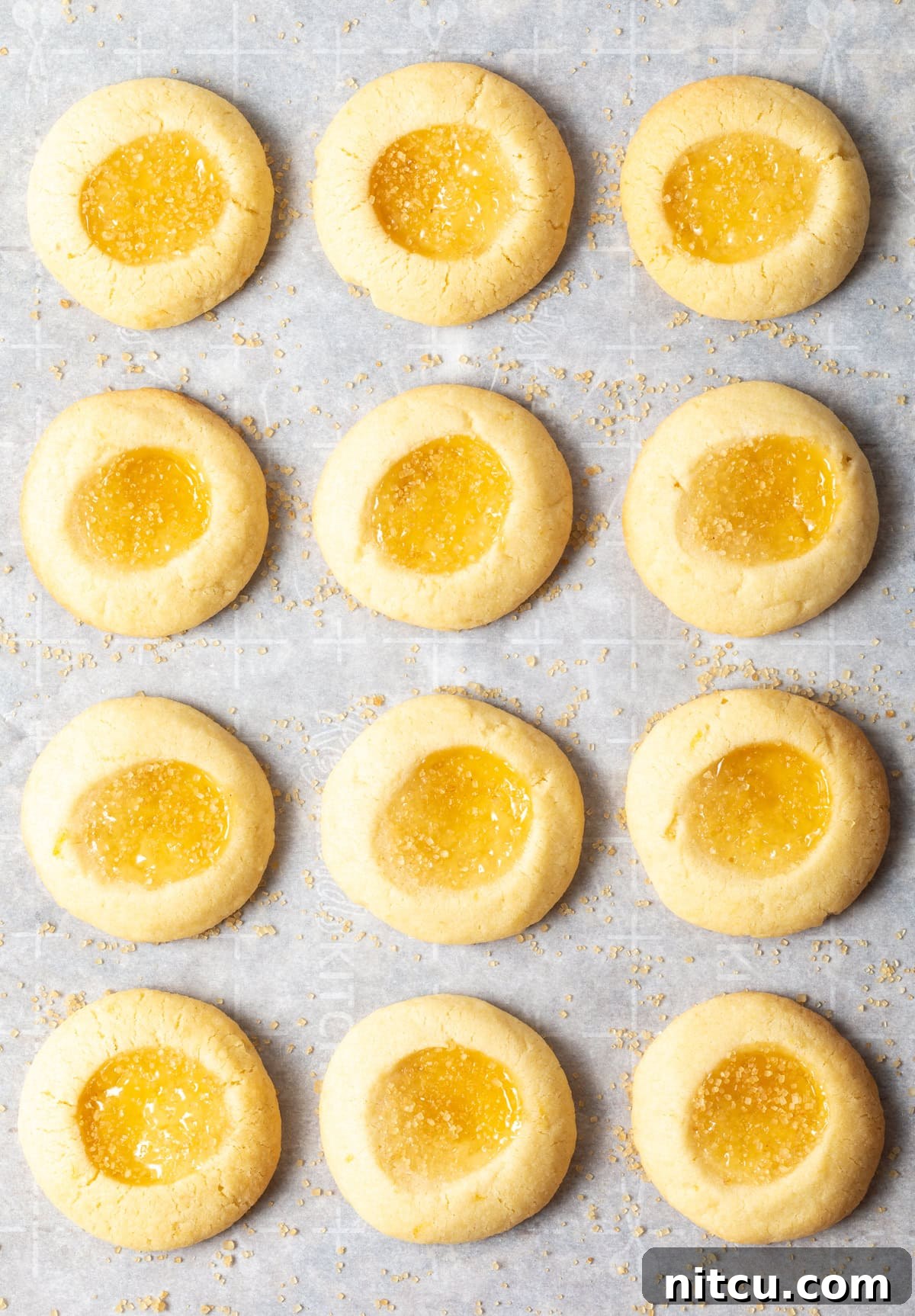 Sunshine Lemon Drop Cookies 3 Top view of lemon drop cookies on the baking sheet all lined up in rows