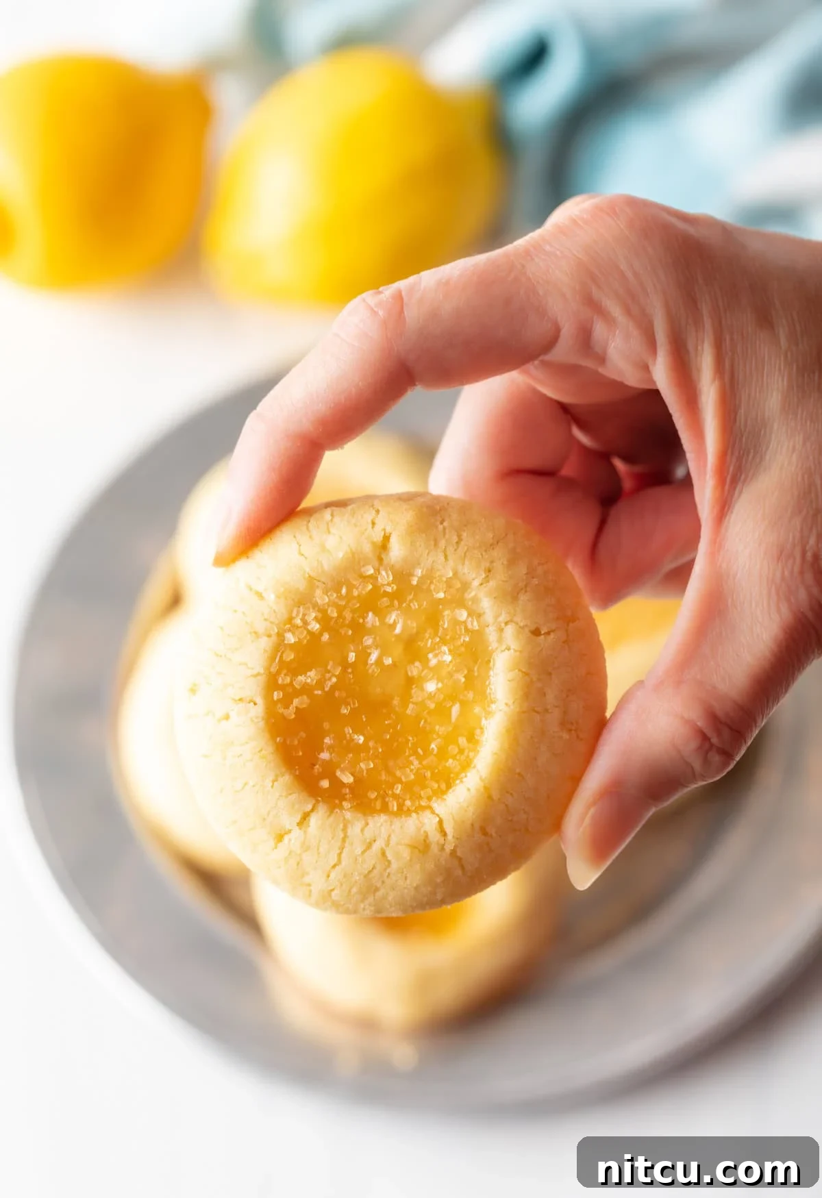 Sunshine Lemon Drop Cookies 6 Hand holding up a lemon drop cookie for the camera for you to get a good up close look at the
