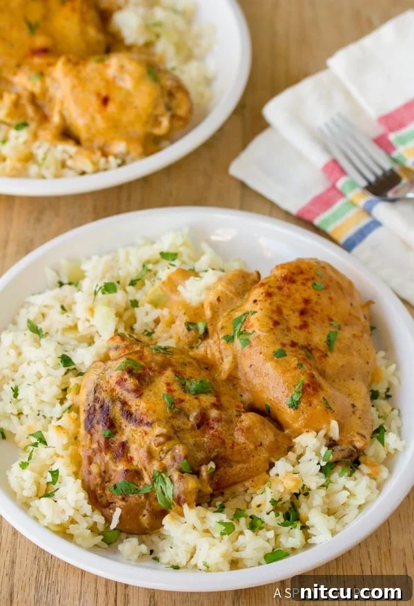 Soulful Hungarian Paprika Chicken 2 Classic Hungarian Chicken Paprikash served with rice, garnished with fresh parsley