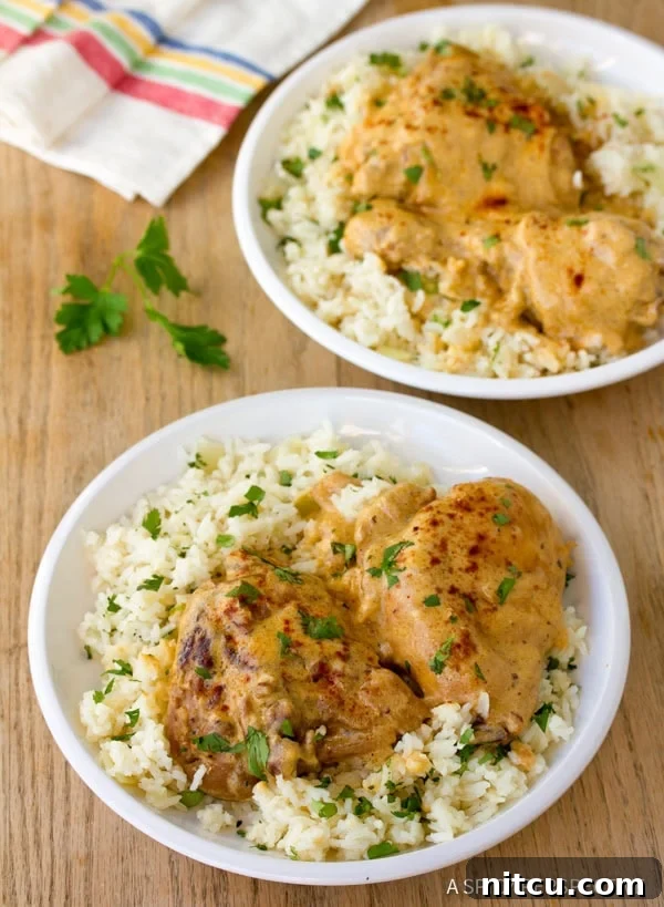 Soulful Hungarian Paprika Chicken 7 Plates of Hungarian Chicken Paprikash with rice and parsley, ready to serve