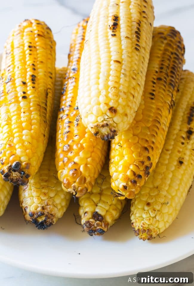 Charred Mexican Elote 6 Stack of freshly grilled corn on the cob, beautifully charred and ready for the next step.