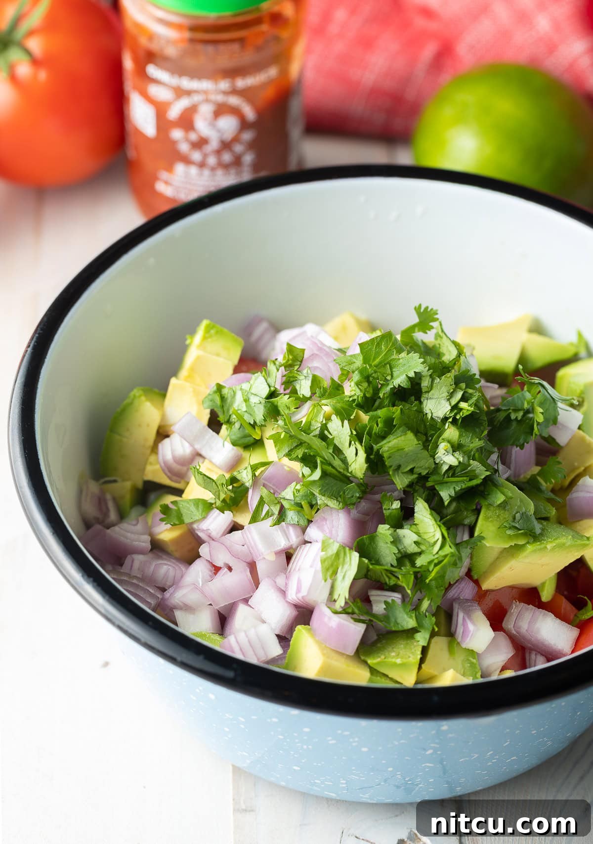 Mexican Marinated raw fish for fish ceviche with onion, cilantro, tomato, and avocado